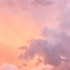 Meet your Posher, Shanaya